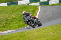 Lower Group Black Bikes